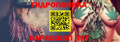 экстази Гай