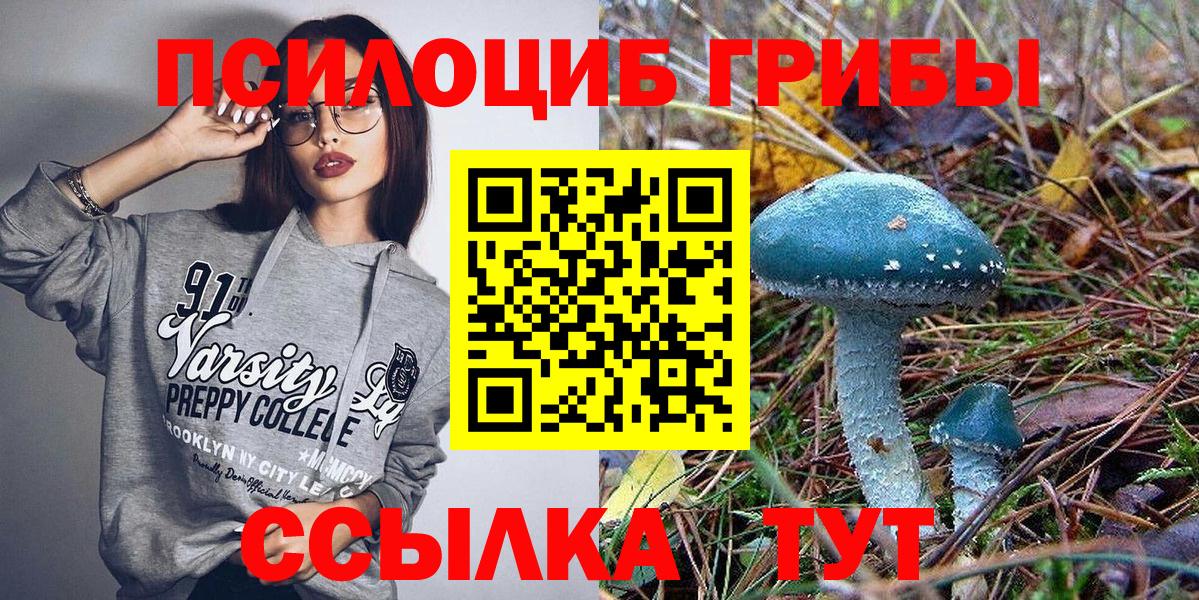 Ноябрьск  Галлюциногенные грибы Psilocybine cubensis  Вход с VPN 