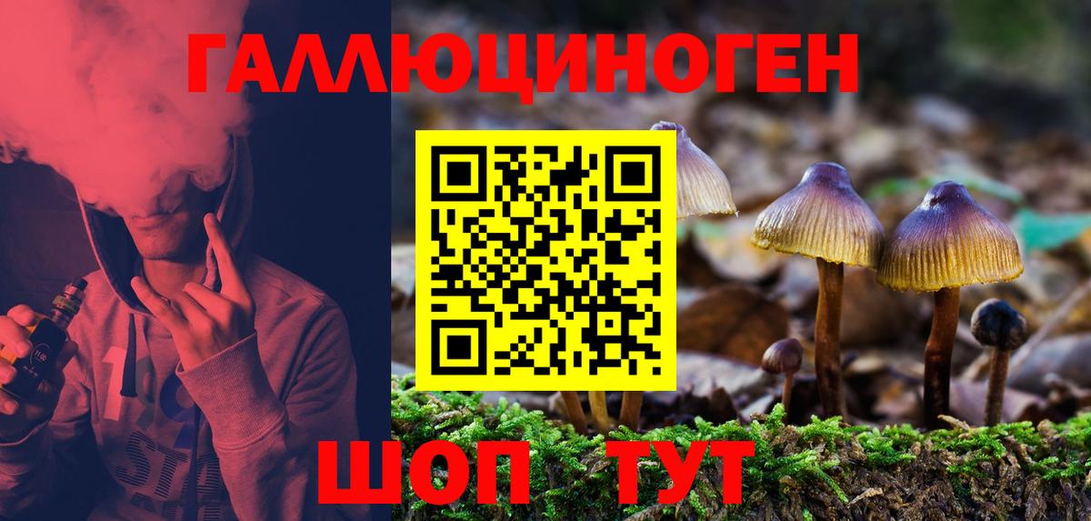 Галлюциногенные грибы прущие грибы Ноябрьск